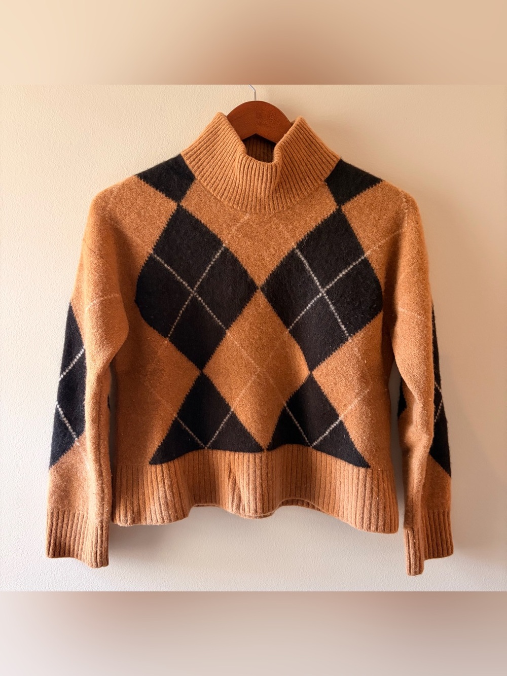 Everlane Size Medium Felted Merino Argyle Mockneck Sweater Brown Black